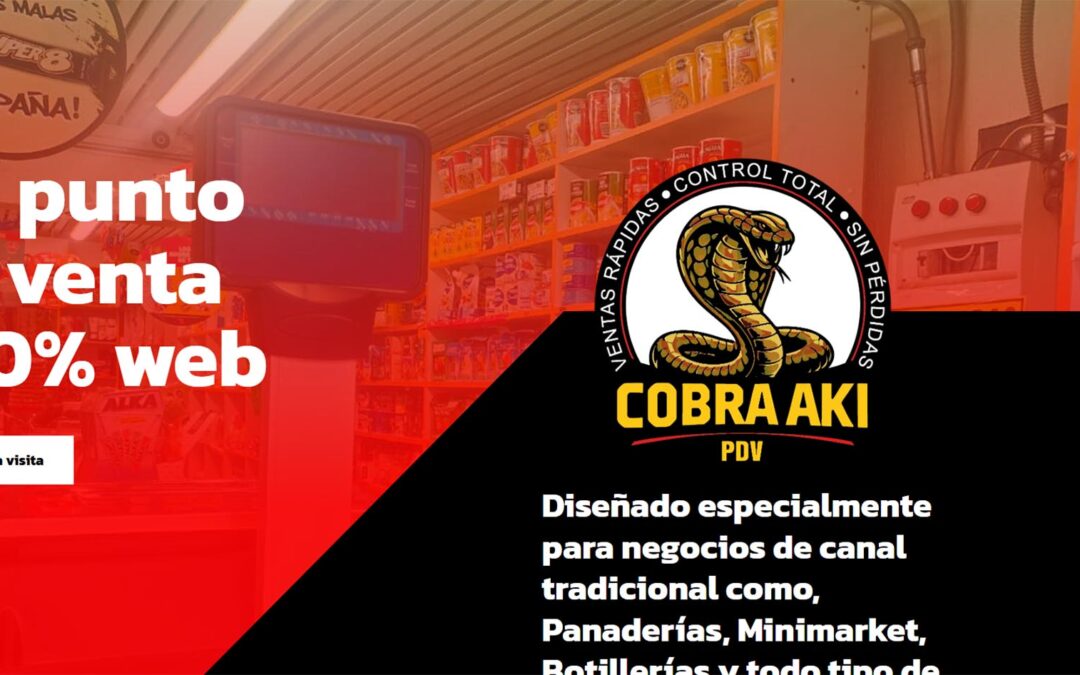 Diseño Landing Page Cobra Aki