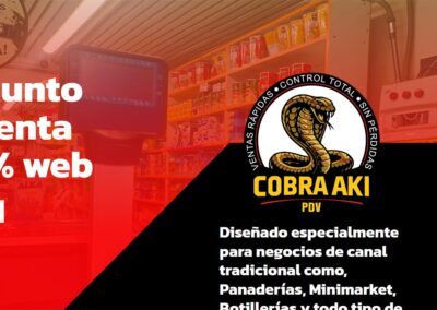 Diseño Landing Page Cobra Aki