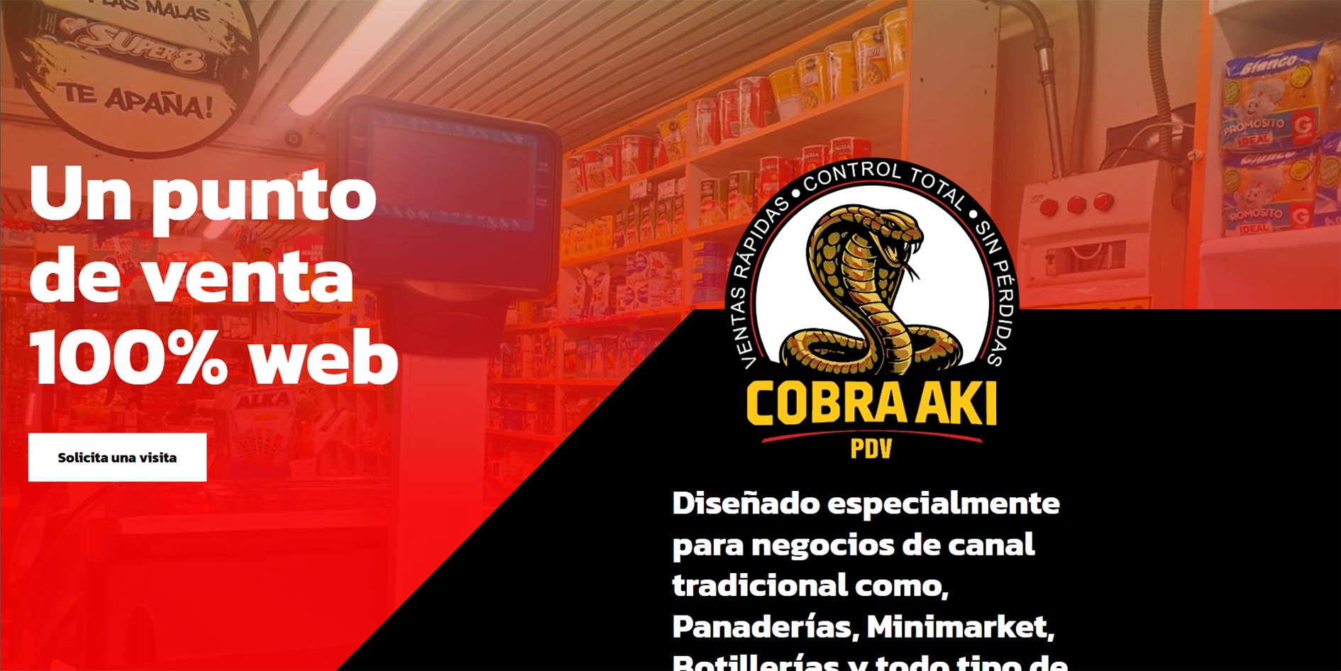 Diseño Landing Page Cobra Aki